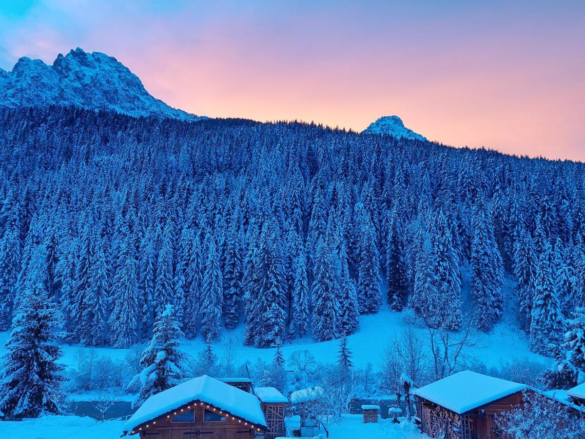 B&B A Ceda Toa San Pietro di Cadore Exteriör bild