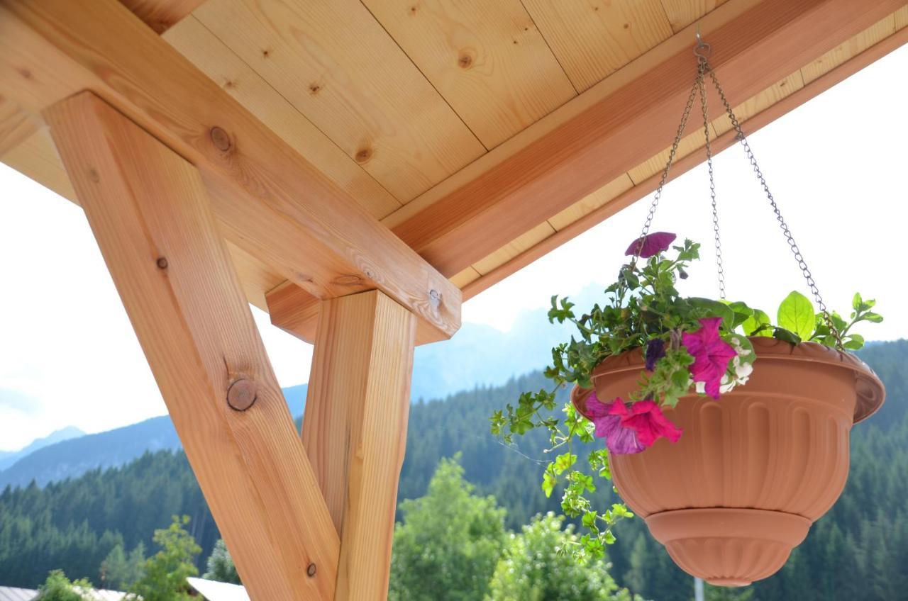 B&B A Ceda Toa San Pietro di Cadore Exteriör bild